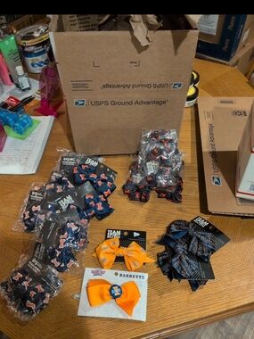 University Of Illinois Hair Bow And Scrunchie Lot